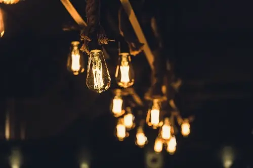 Edison Style Light Bulbs